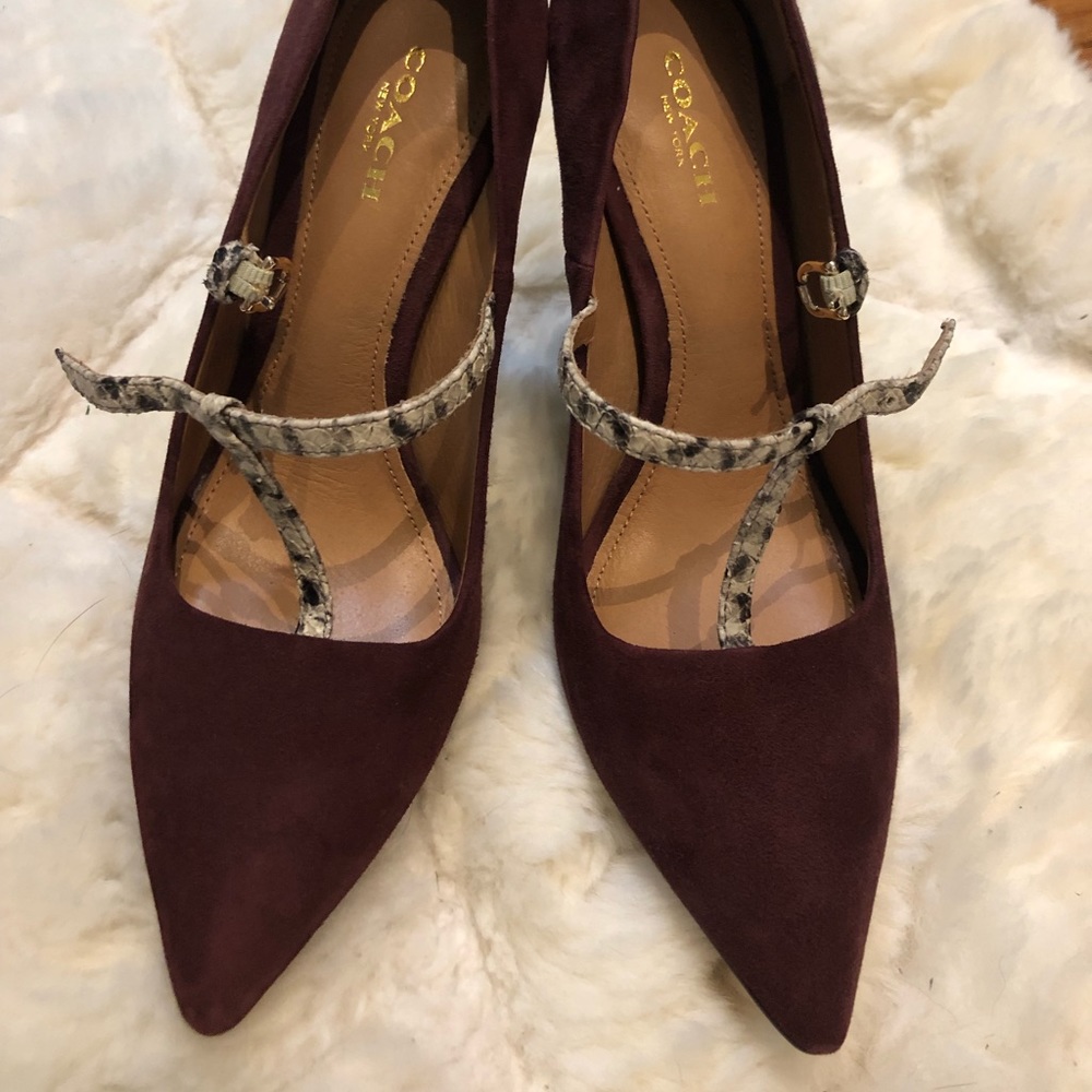 Coach suede heels- Maroon with snake skin heel